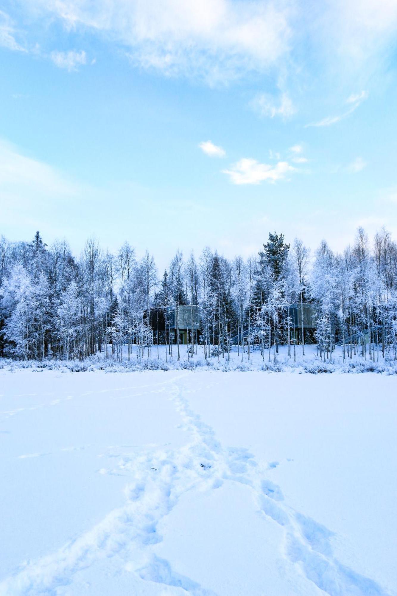 Silver Birch Resort Lapland Rovaniemi Exterior photo