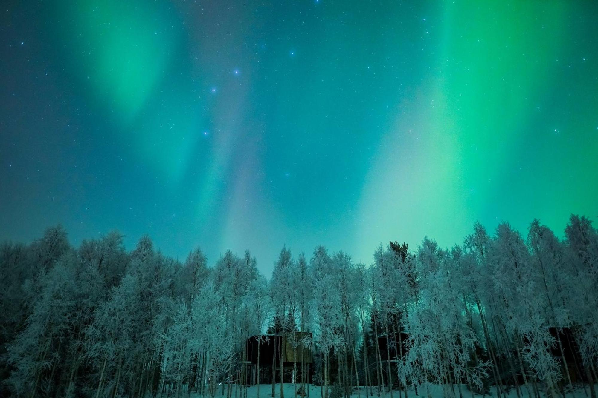 Silver Birch Resort Lapland Rovaniemi Exterior photo
